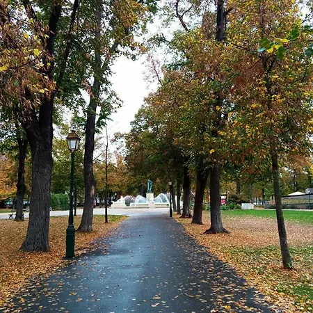 Rare A - Champ De Mars Vue Sur Parc - 70m2 - 2 * Colmar