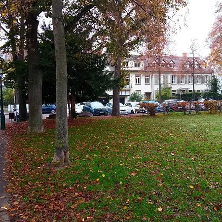 Rare A - Champ De Mars Vue Sur Parc - 70m2 - 2 * Colmar
