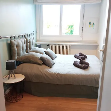 Appartement Rare à - Champ De Mars Vue Sur Parc - 70m2 - 2 Colmar