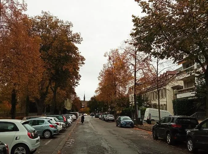 Rare A - Champ De Mars Vue Sur Parc - 70m2 - 2 Daire Colmar