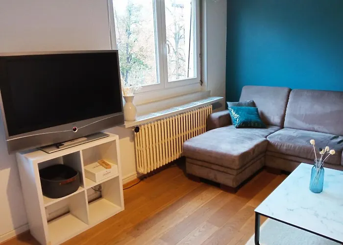 Rare A - Champ De Mars Vue Sur Parc - 70m2 - 2 Colmar